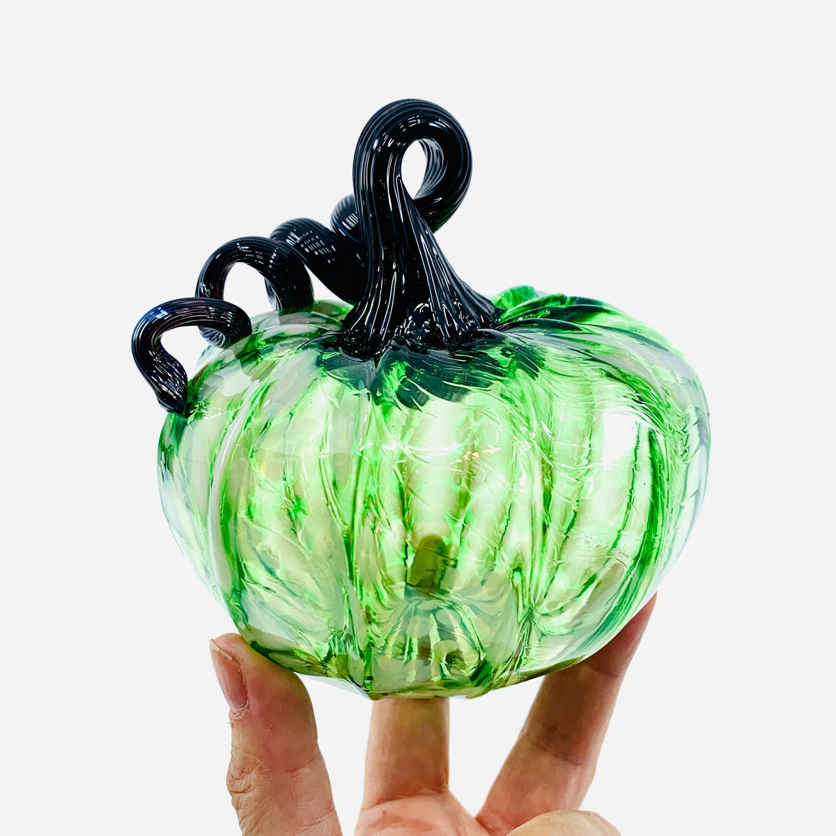 Daily Pumpkin 3632 Fall Jumbo Mini Gabby Luke Adams Glass Blowing Studio 