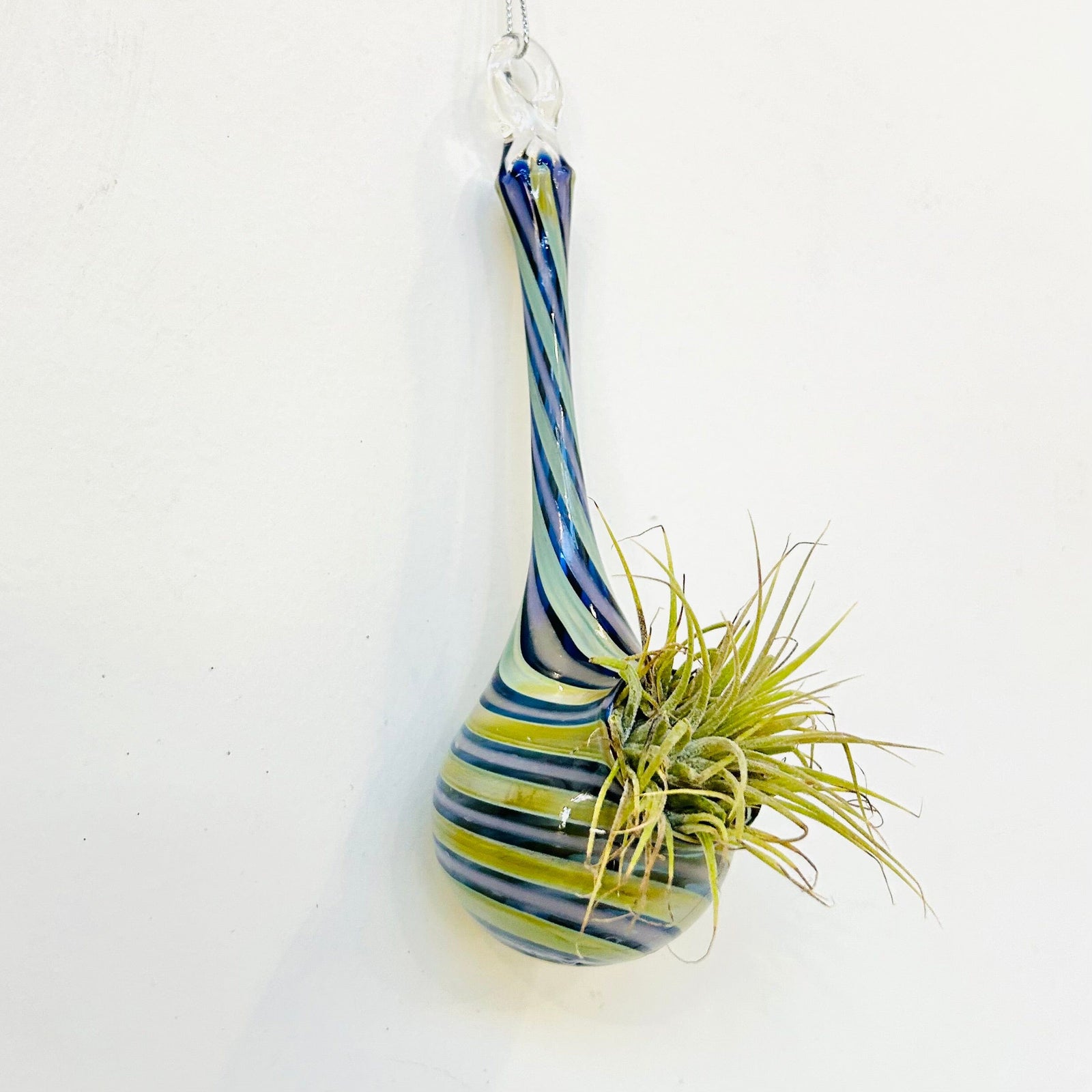 Air Plant Hanging Drop Vase 26 Decor Probstein Studios 