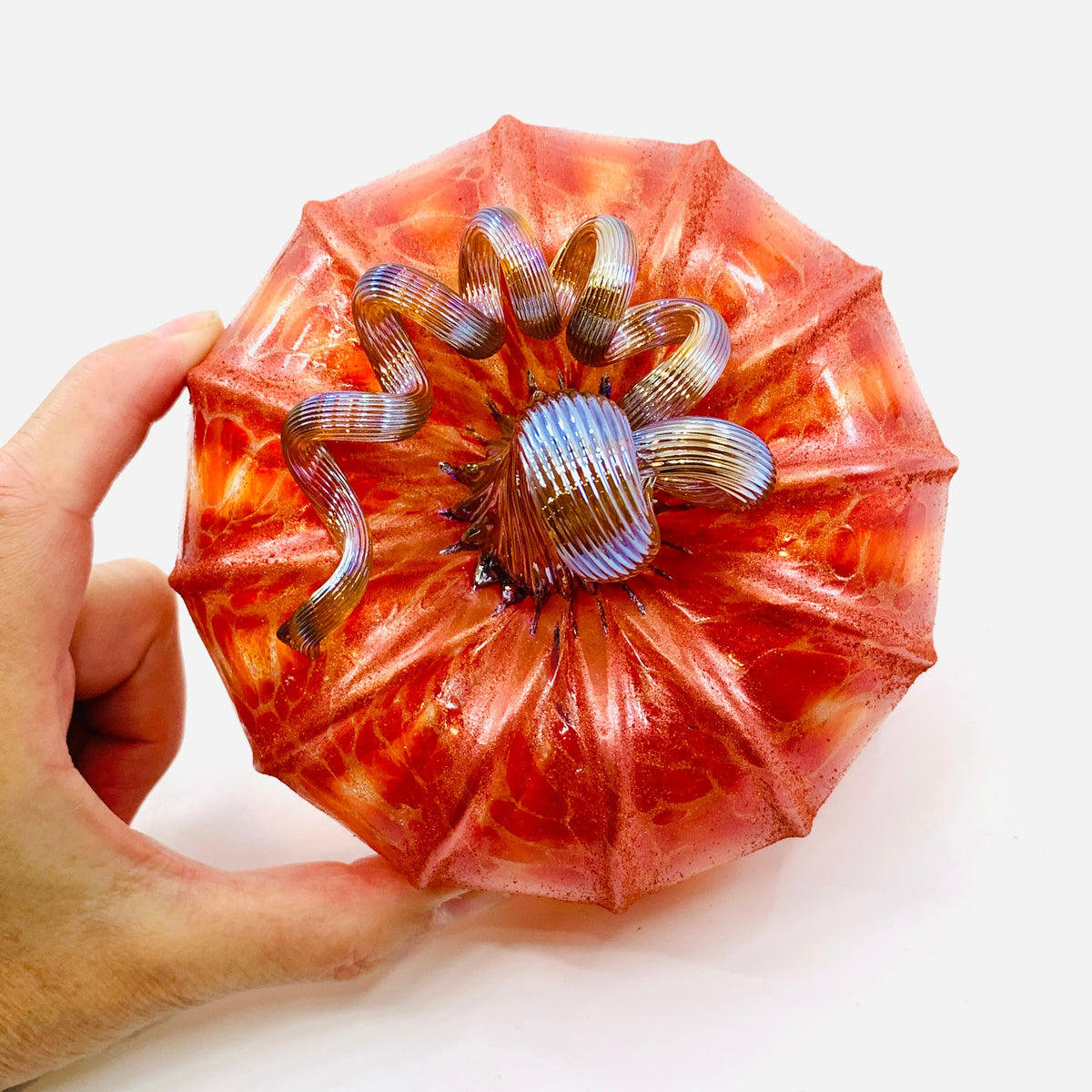 Daily Pumpkin 3581 Fall Shimmer Squat