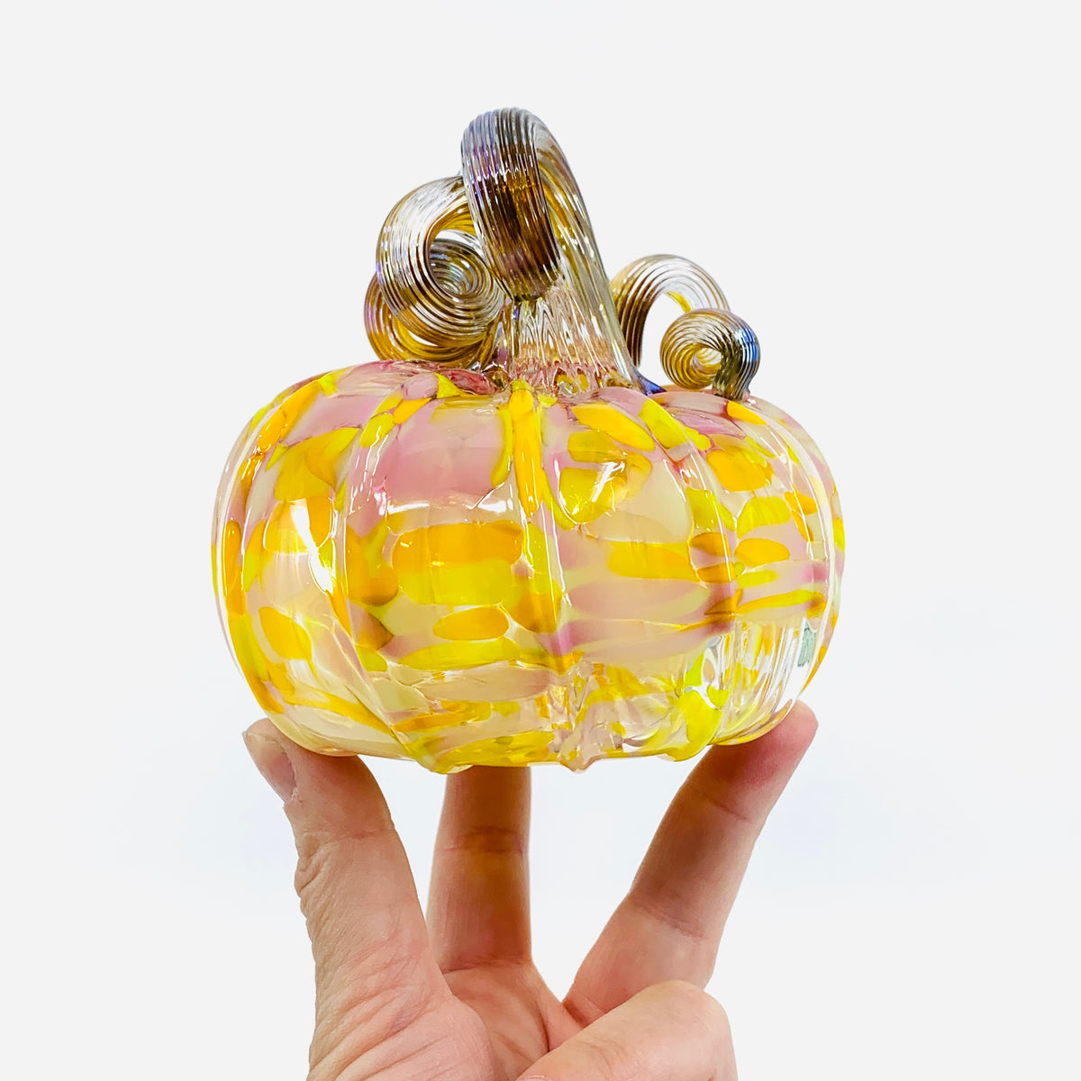 Daily Pumpkin 1314 "Oops" Squat