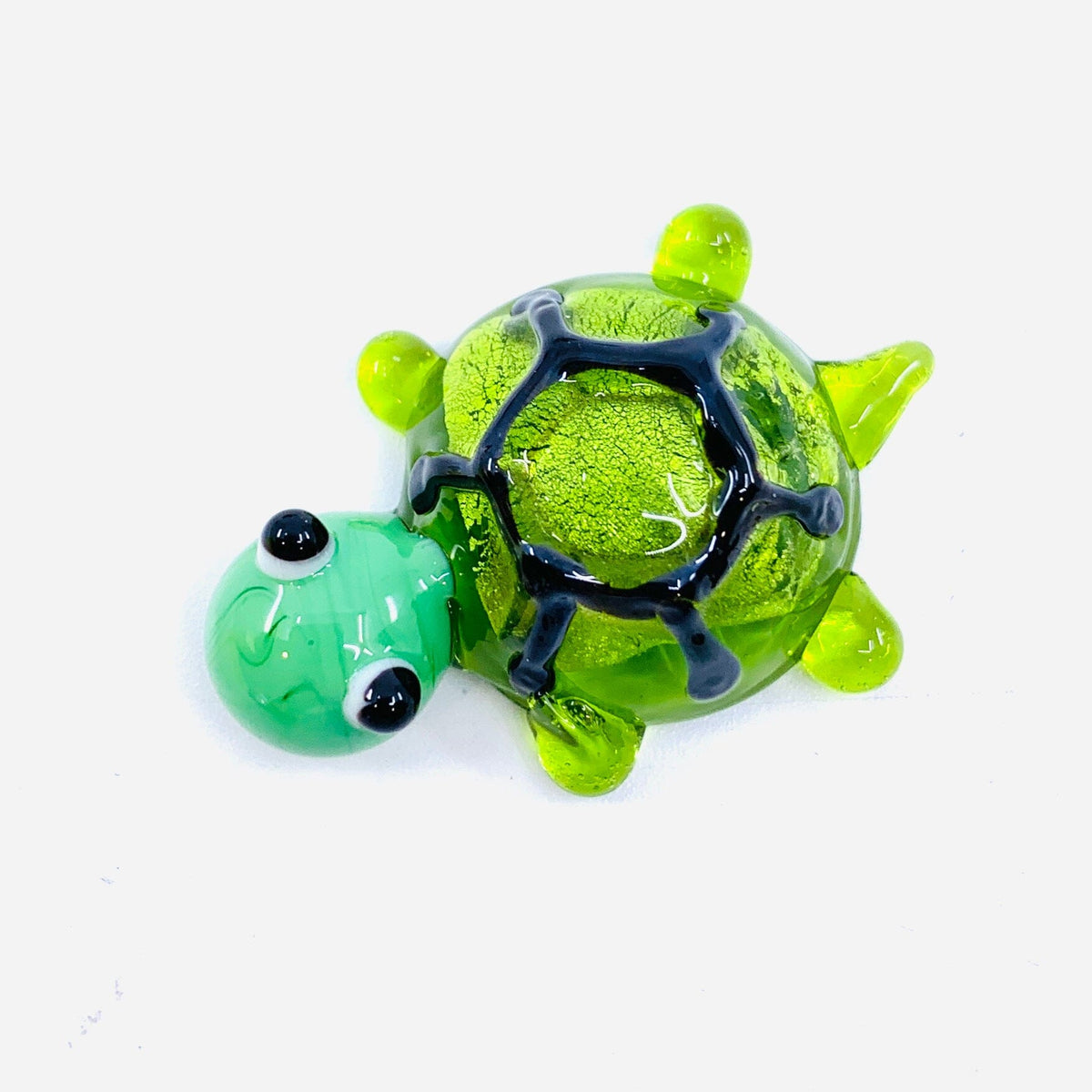 Tiny Glass Turtle, Shelly 4