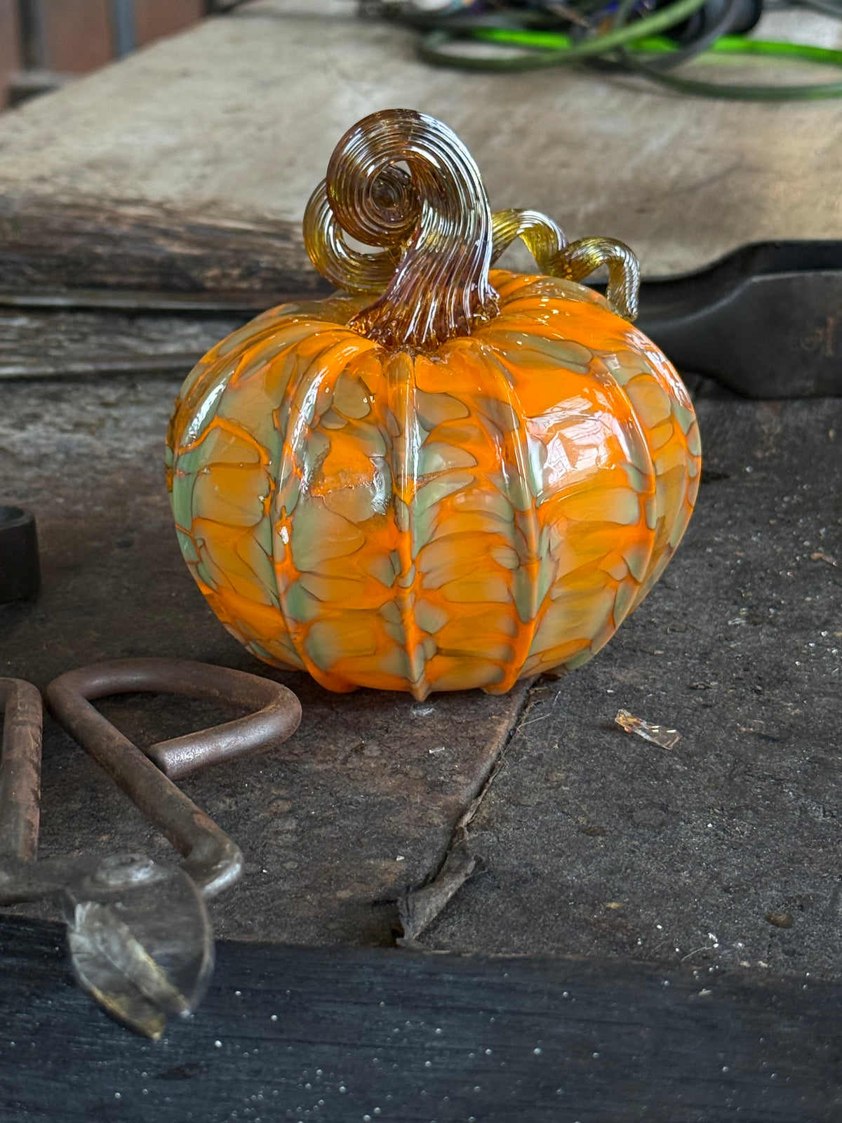Harley, The Giving Pumpkin