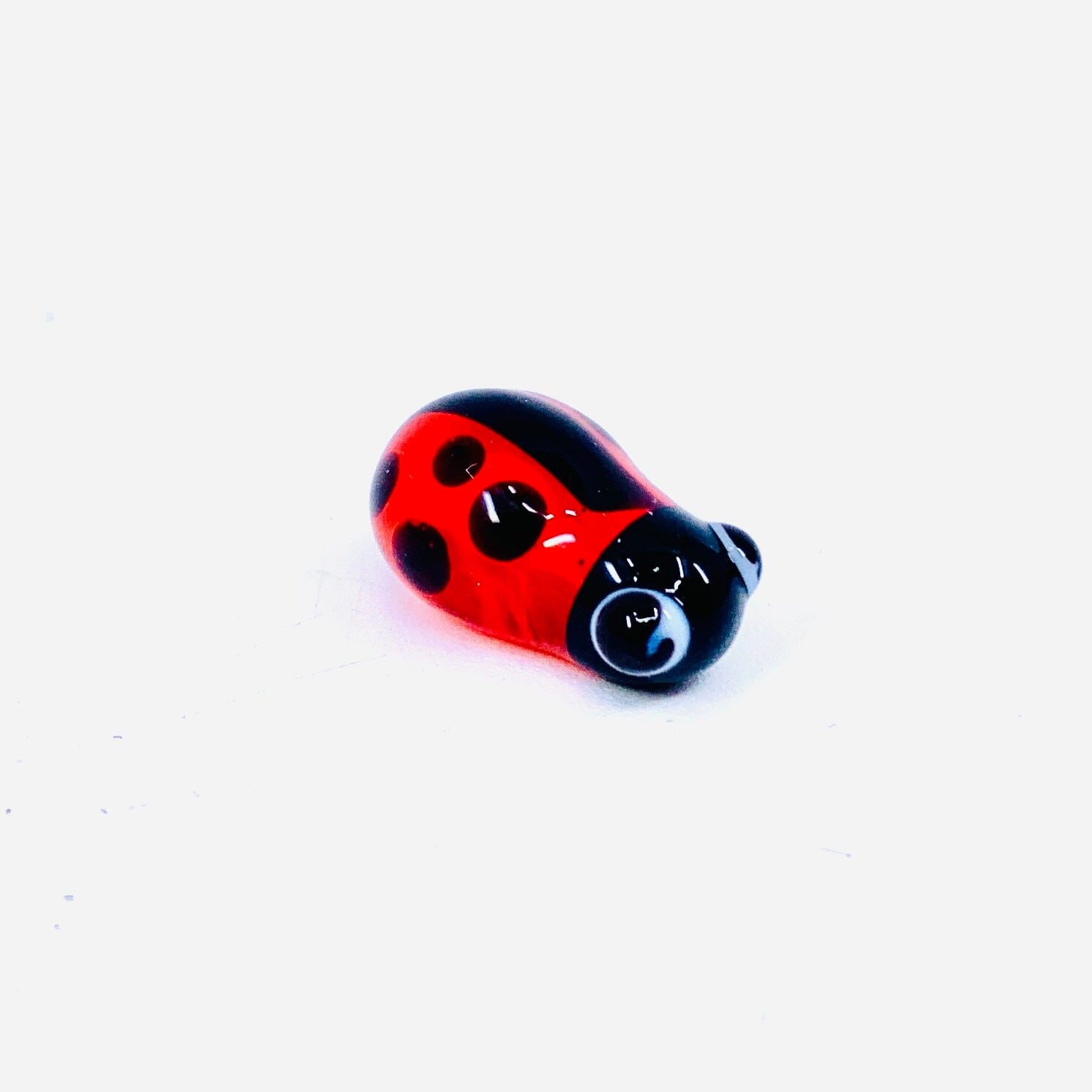 Teeny Teensie Lady Bug JACO 