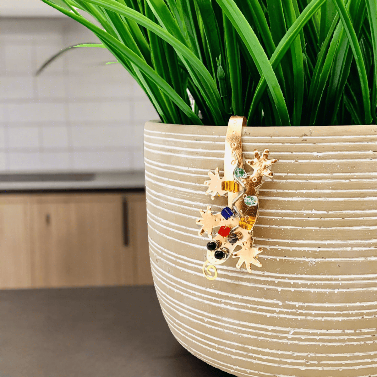 pot huggers for plants Pot Huggers 25, Rainbow Gecko