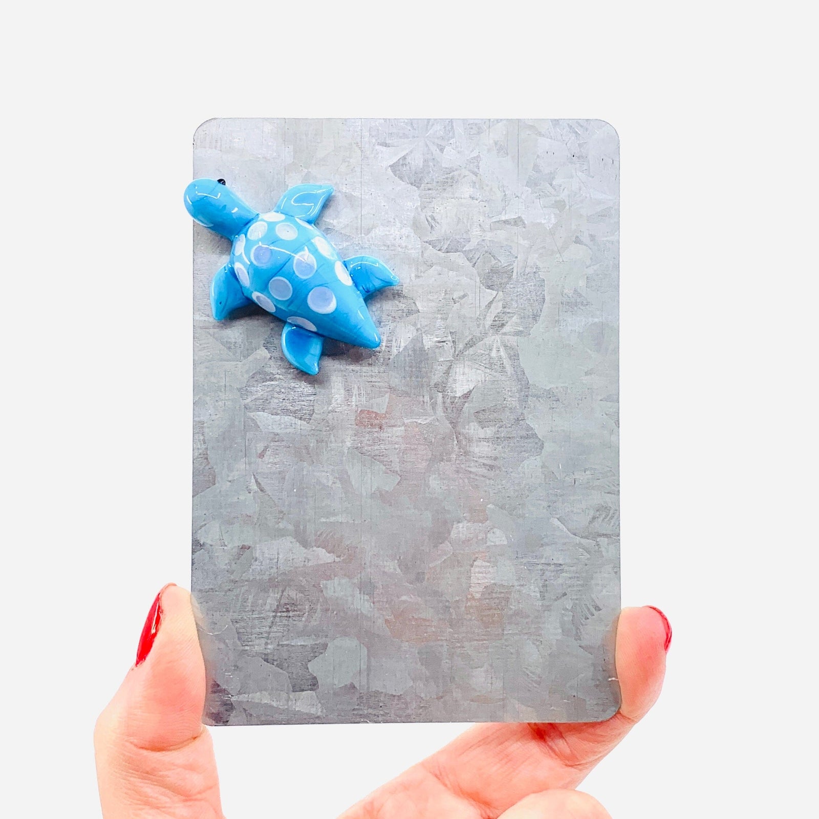 Glass Magnet, Sea Turtle Dynasty 