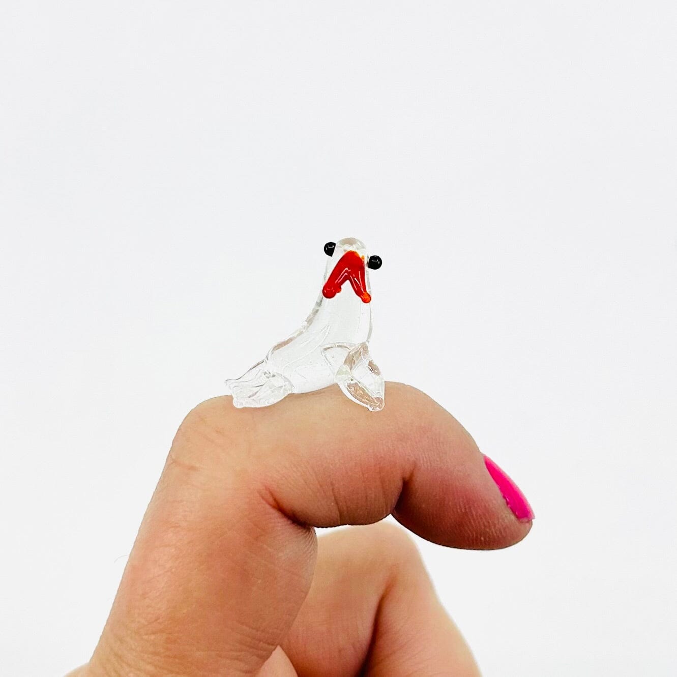 Teeny Teensie Walrus JACO 