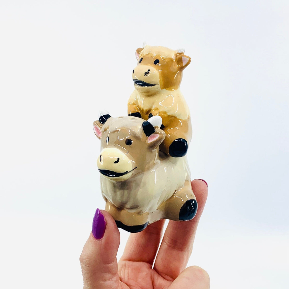 Highland Coos Salt and Pepper Shakers Decor GANZ 