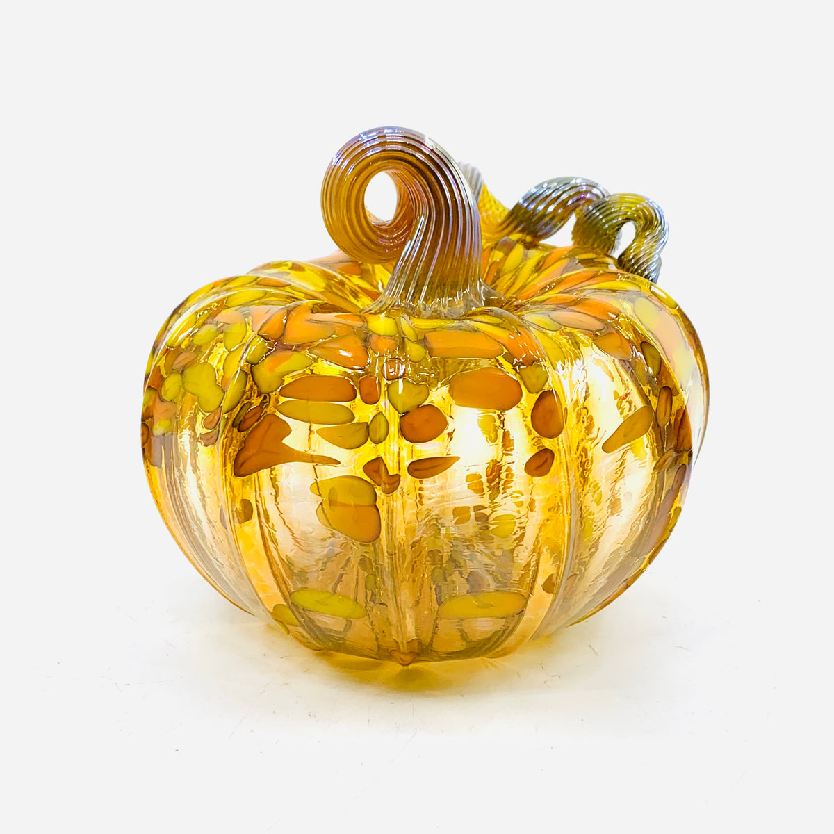 Daily Pumpkin 190 Fall Squat