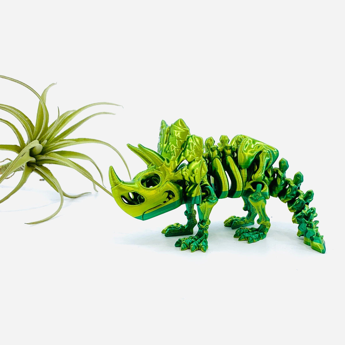 3D-Print Skeleton Triceratops - 49 LUZ CUSTOM DESIGN 