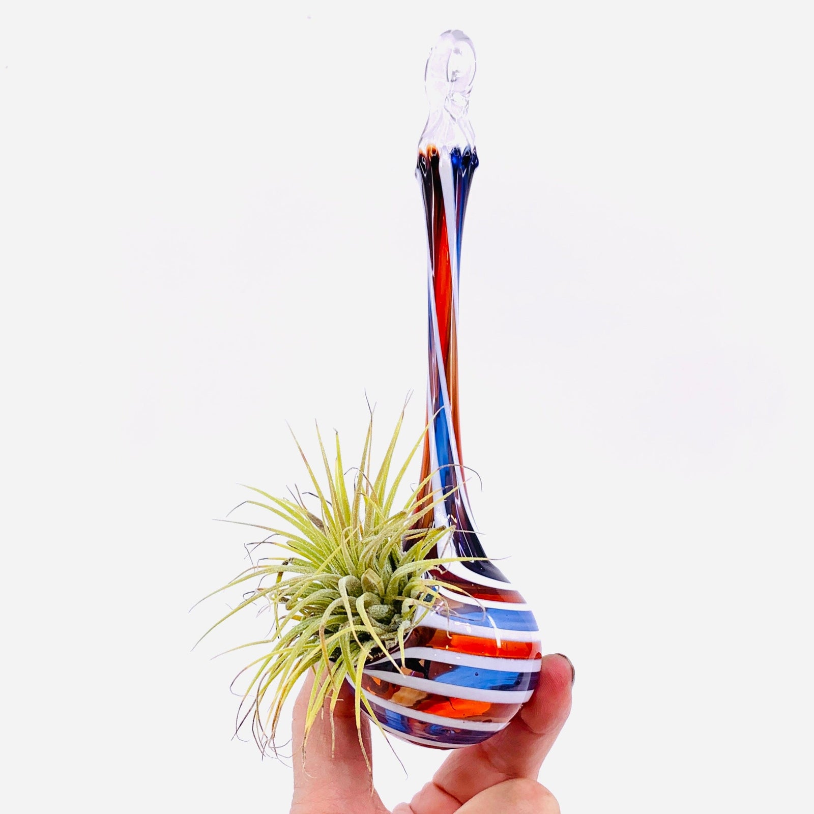 Air Plant Hanging Drop Vase 17 Decor Probstein Studios 