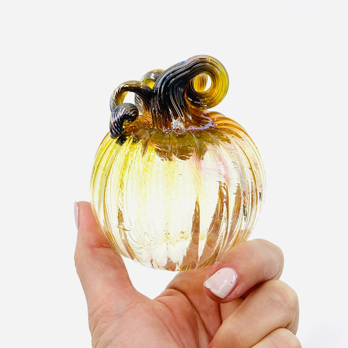 Daily Pumpkin 369 Fall Mini