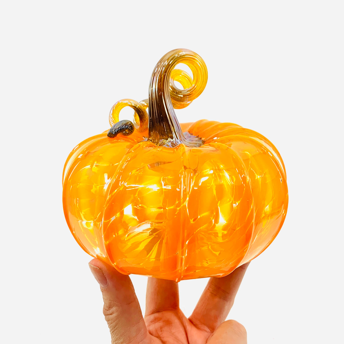 Daily Pumpkin 3502 Fall Squat