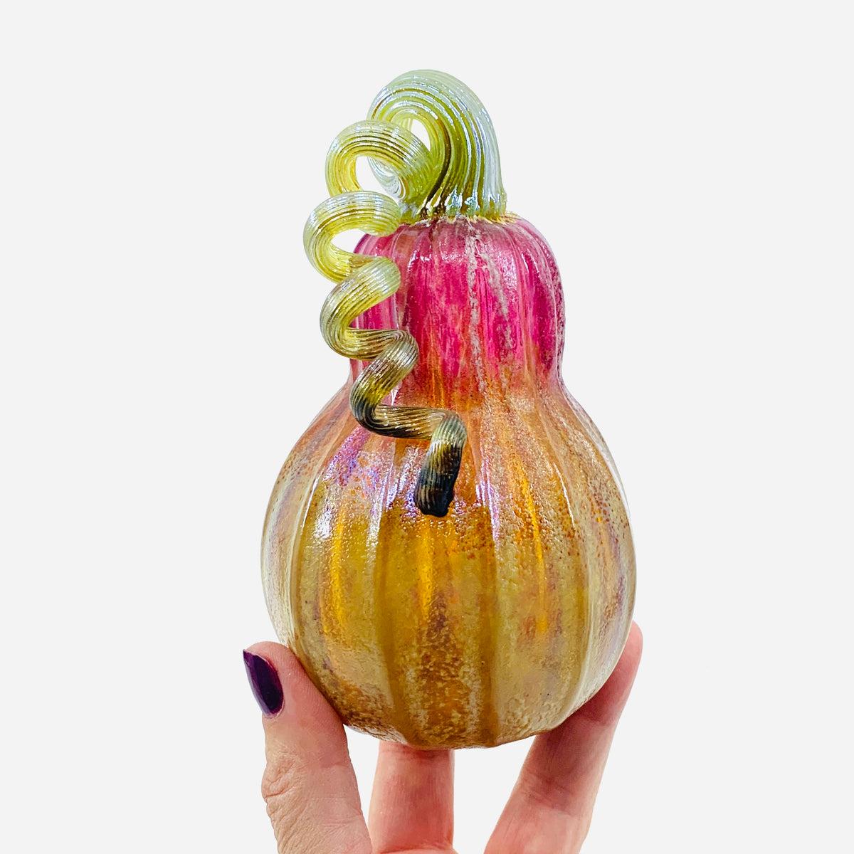 Daily Pumpkin 1000 Glow Gourd