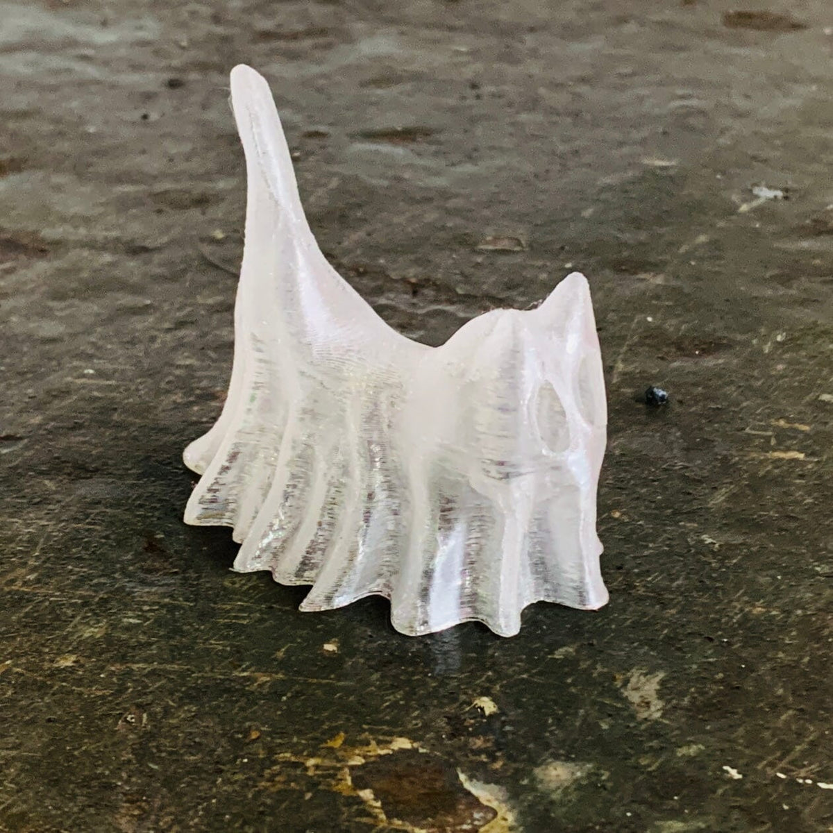 3D Ghost Cat Kevin 
