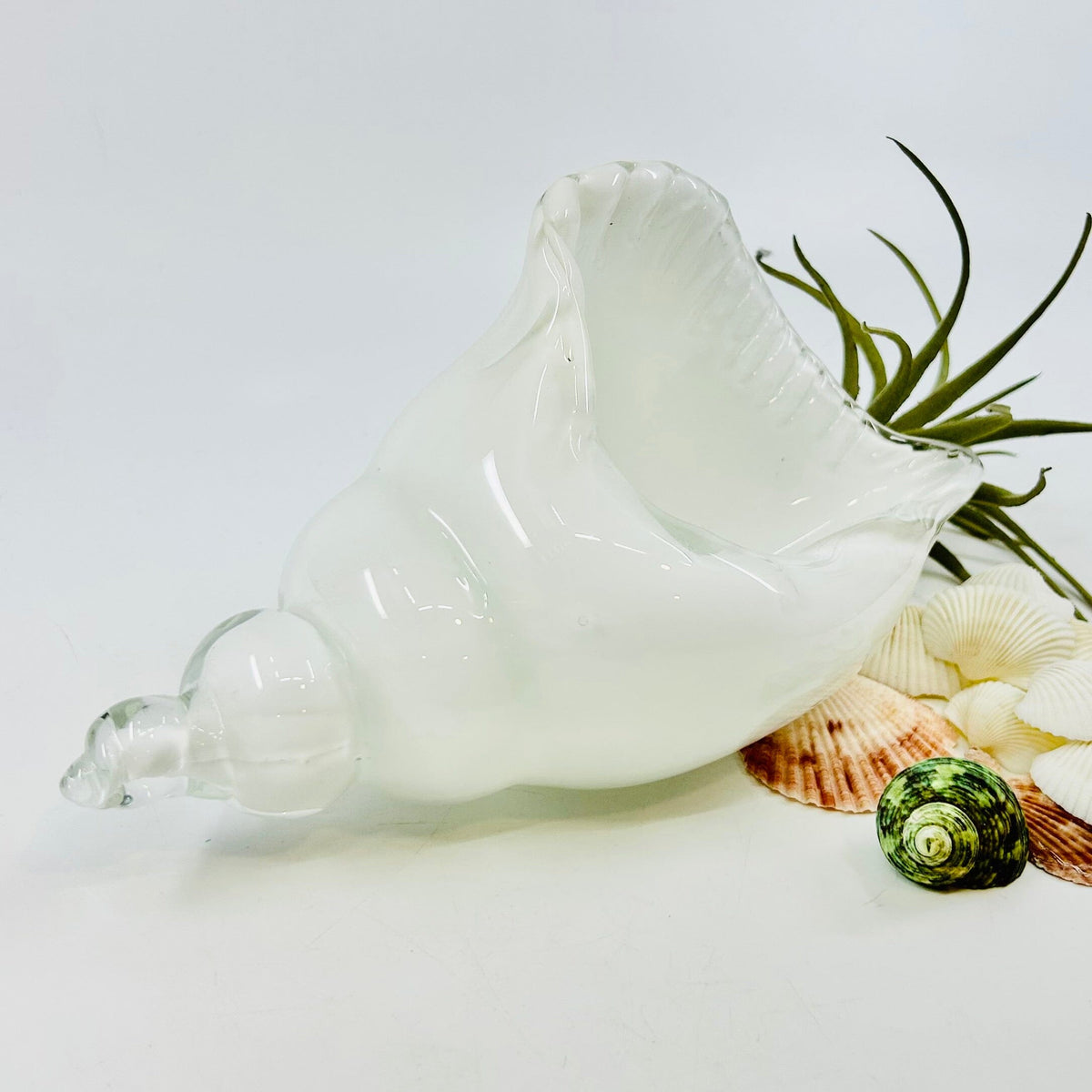 White and Clear Glass Conch Shell Decor Beachcombers 