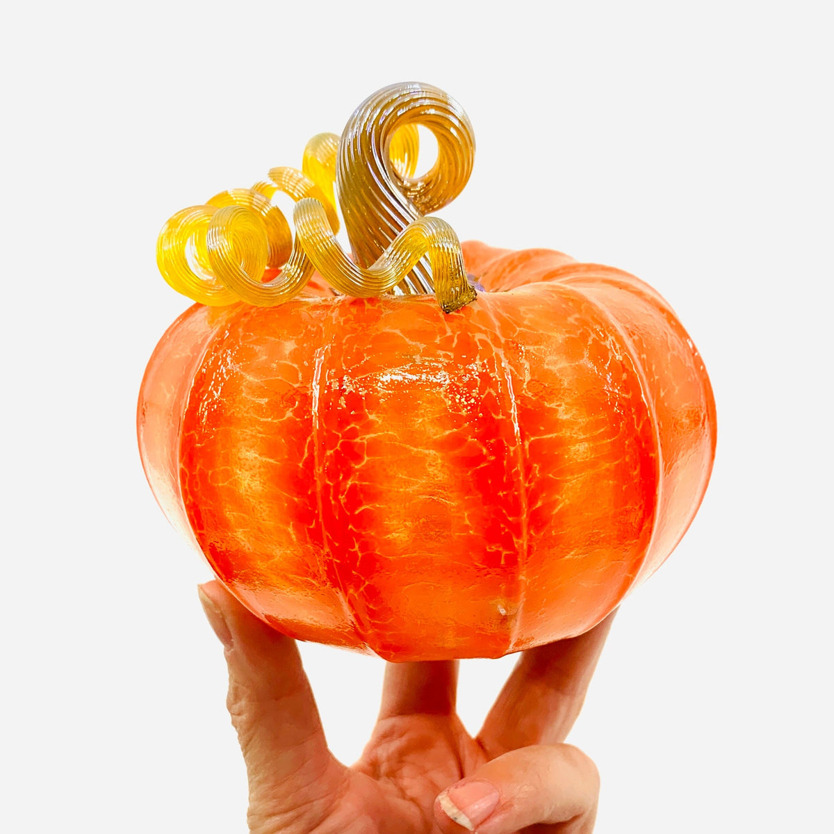 Daily Pumpkin 3787 Fall Squat Gabby Luke Adams Glass Blowing Studio 