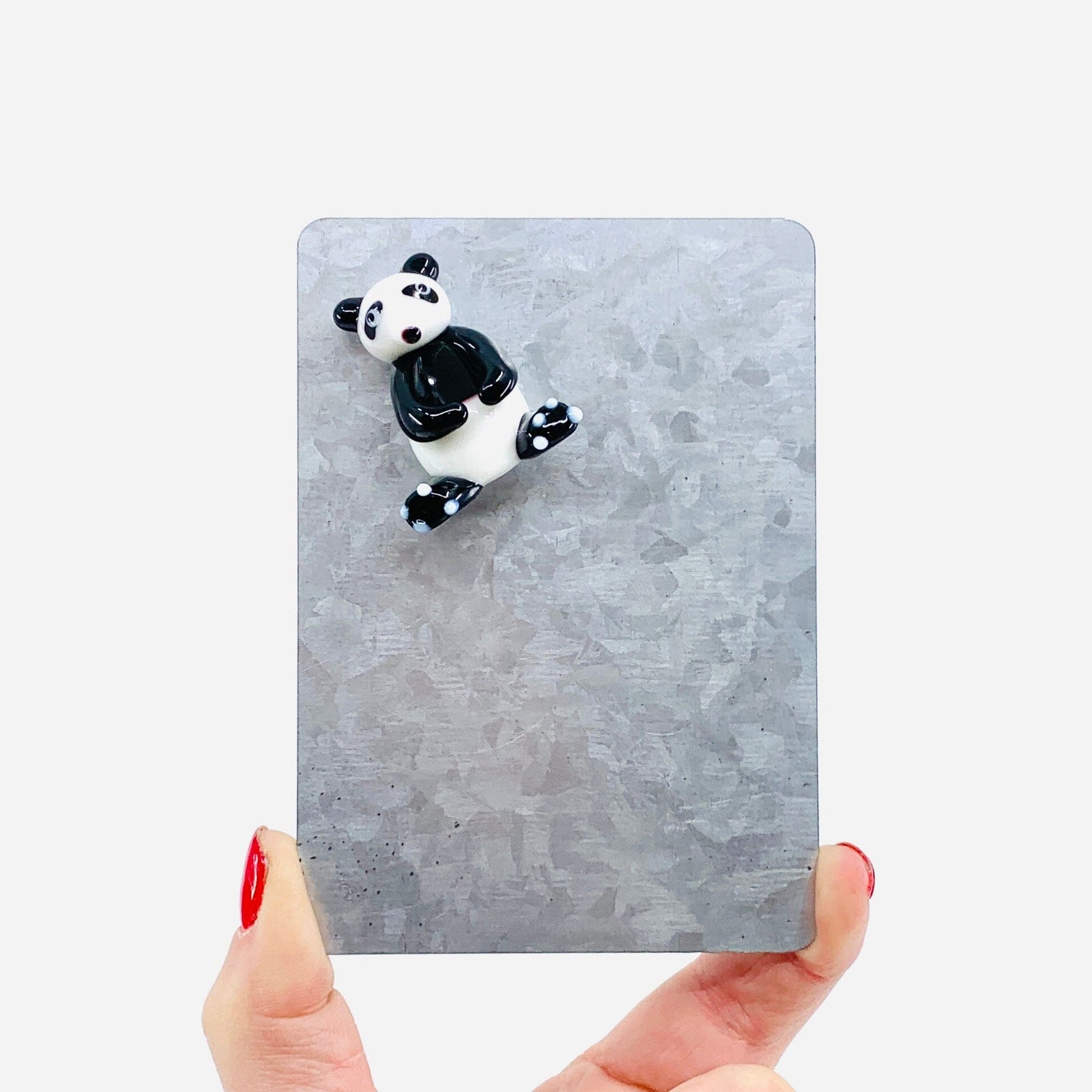 Glass Magnet, Panda Bear Dynasty 