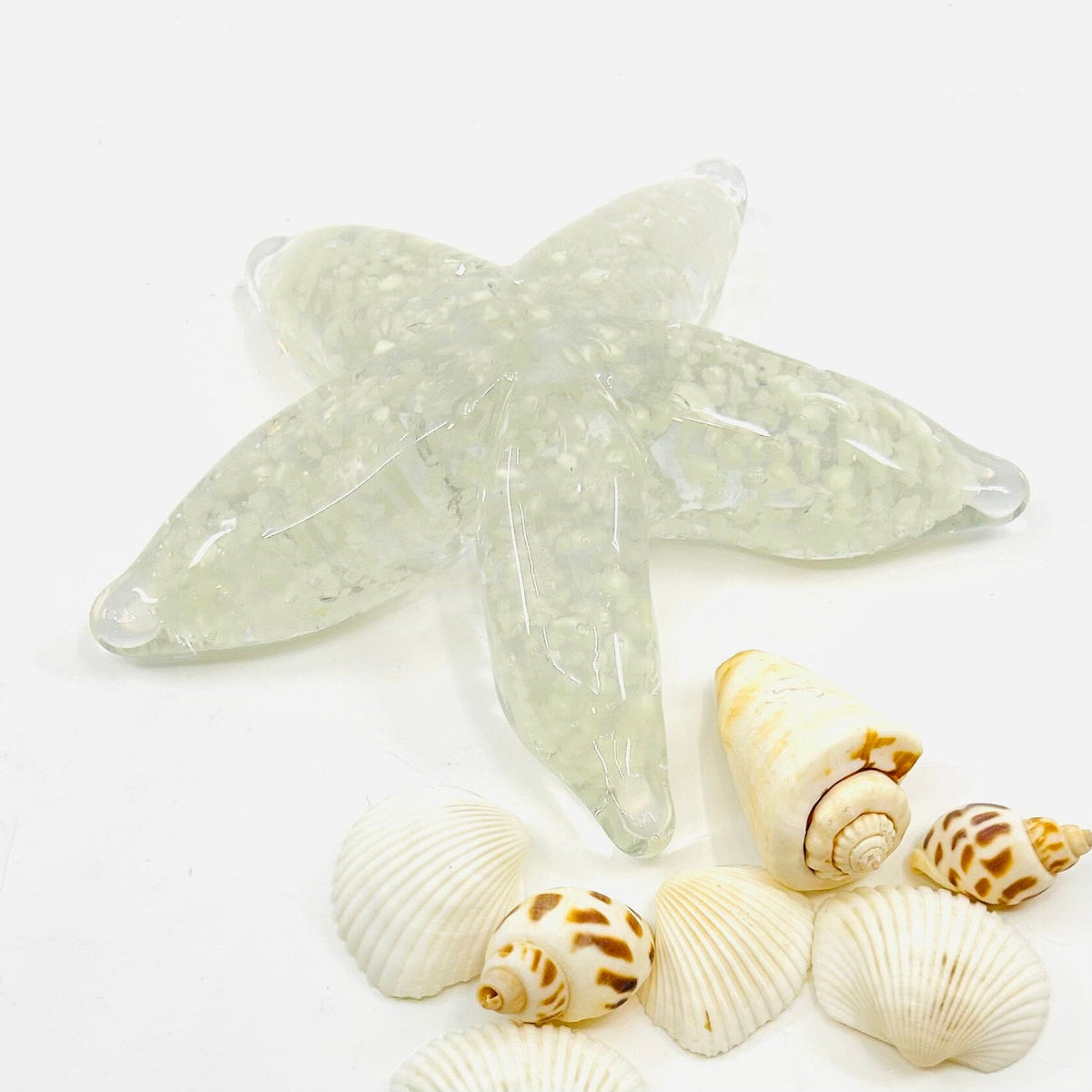 Glow in The Dark Sea Star Decor Beachcombers 