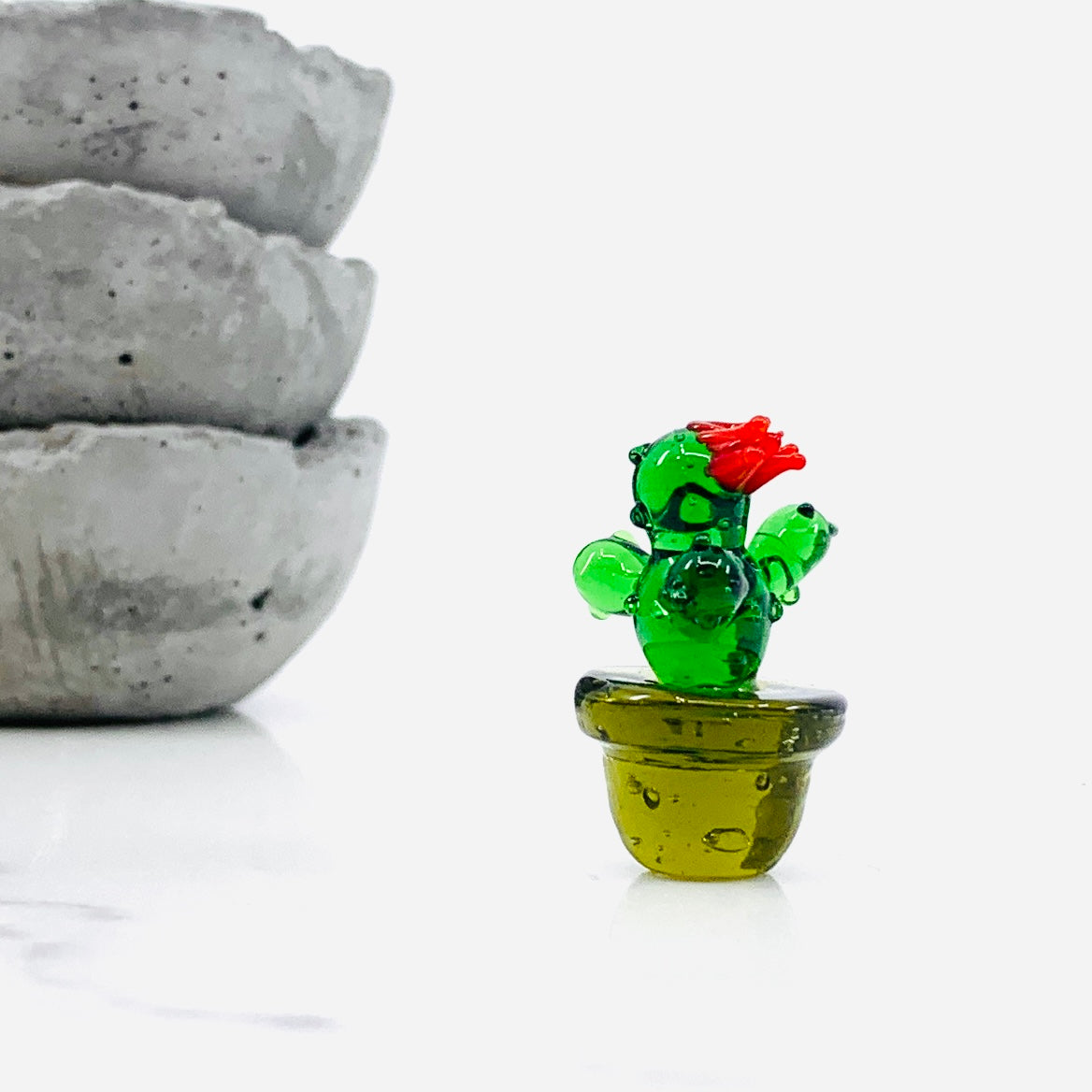 Mini Glass Cactus, Buddy