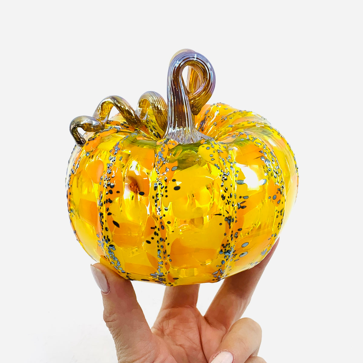 Daily Pumpkin 462 Fall Squat
