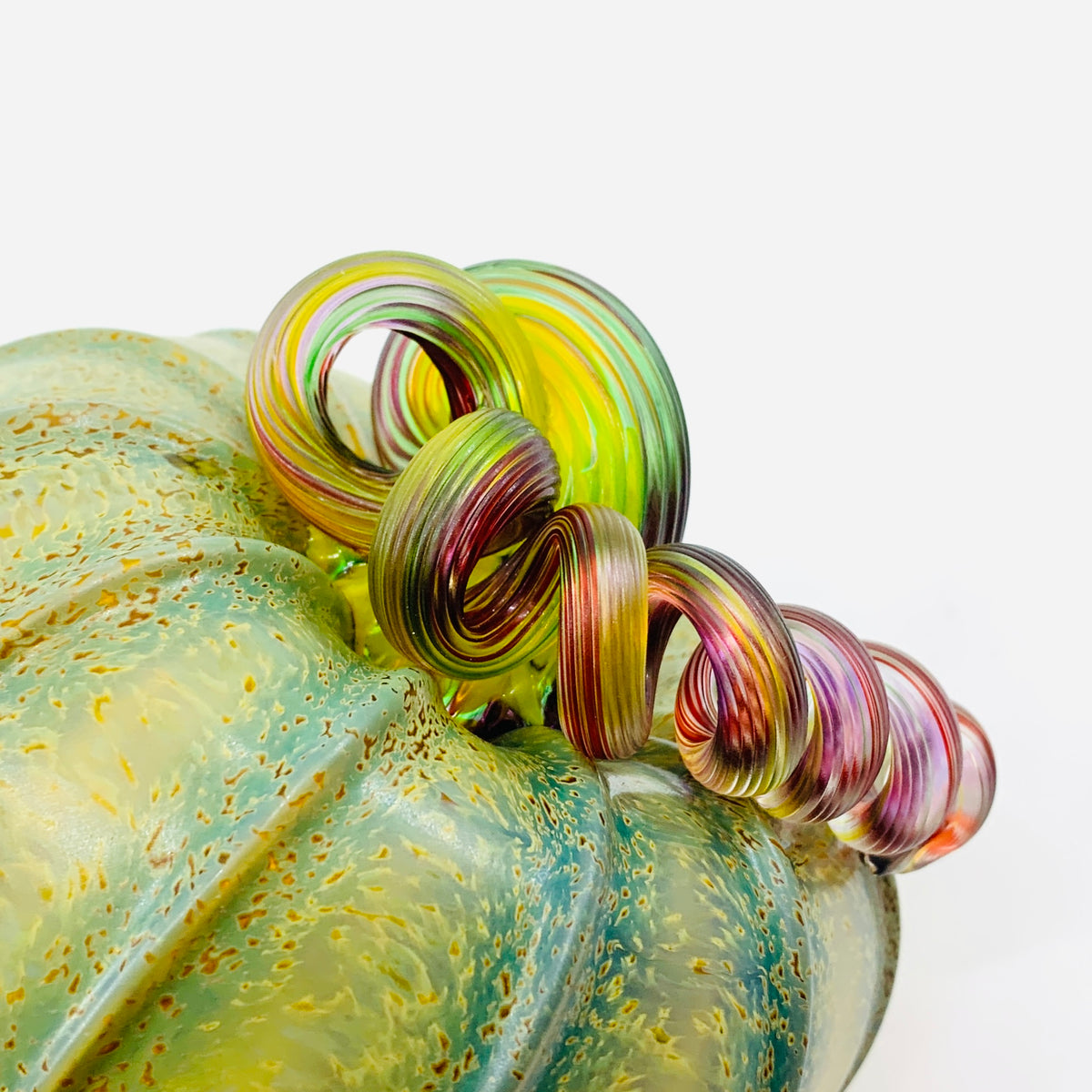 Daily Pumpkin 1190 Matte “Rainbow Stem” Squat