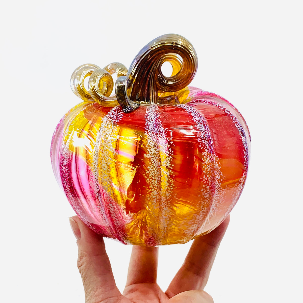 Daily Pumpkin 3341 Fall Squat