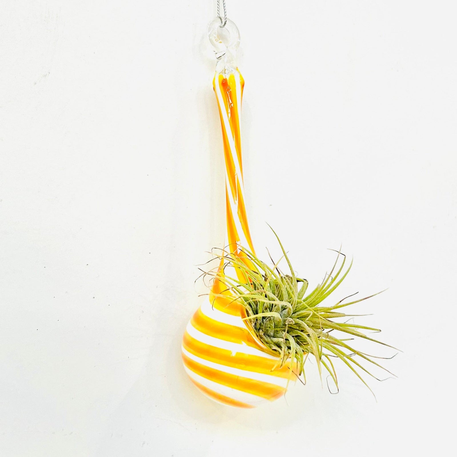 Air Plant Hanging Drop Vase 10 Decor Probstein Studios 