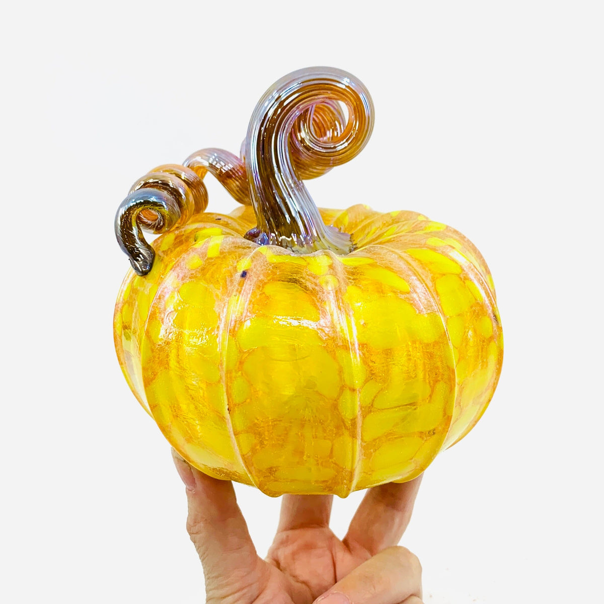 Daily Pumpkin 3854 Fall Shimmer Squat