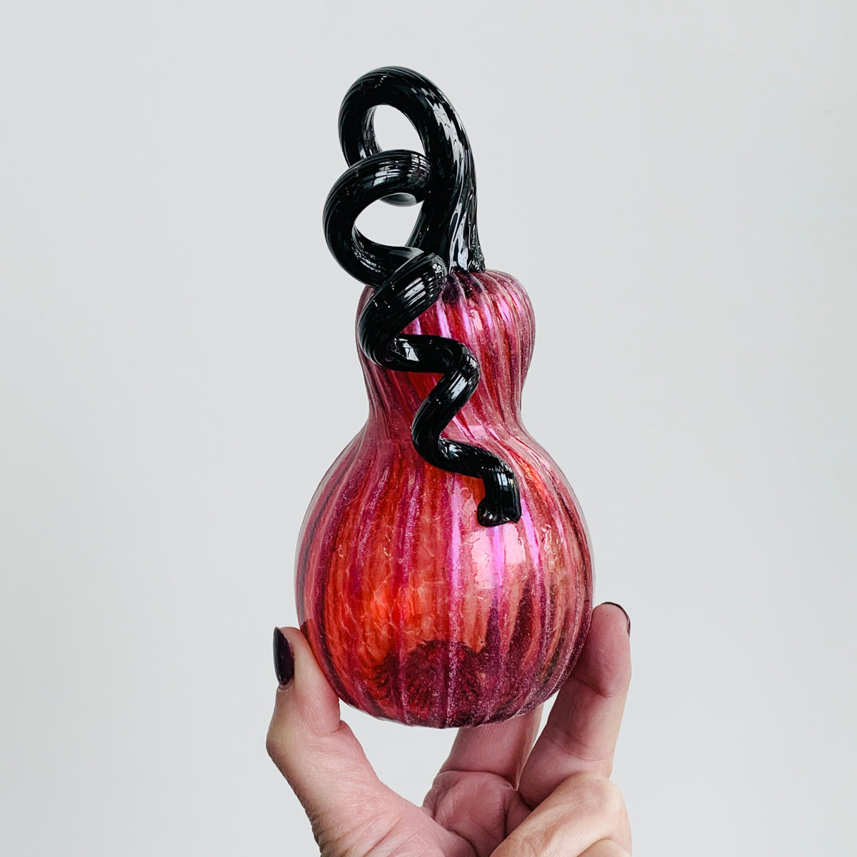 Pumpkin of The Day 141 Mini Shimmer Cranberry Gourd