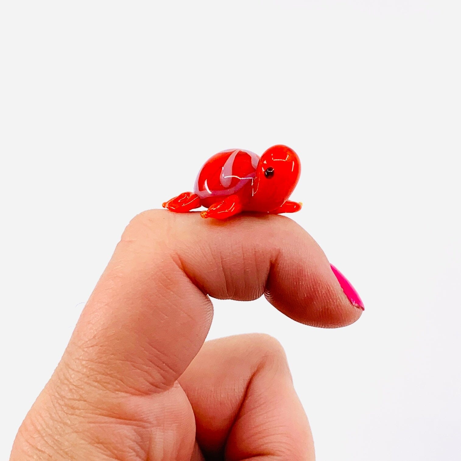 Teeny Teensie Orange Turtle JACO 
