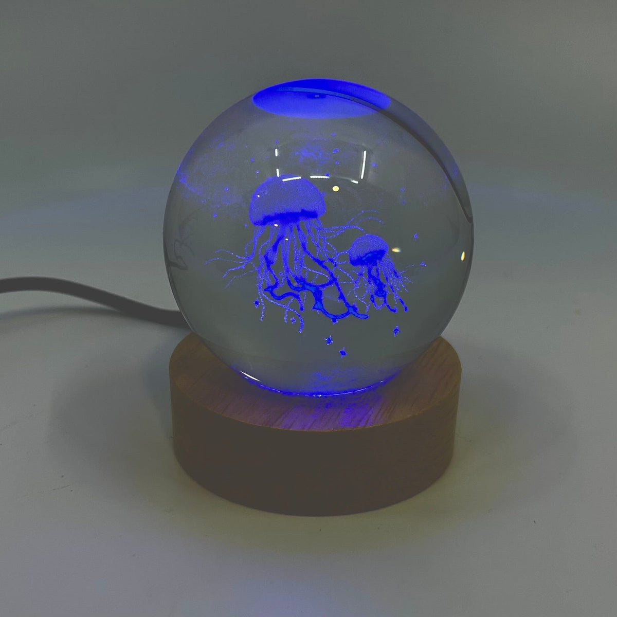 Light Up Etched Glass Sphere décor - Jellyfish 29TONIGHT 