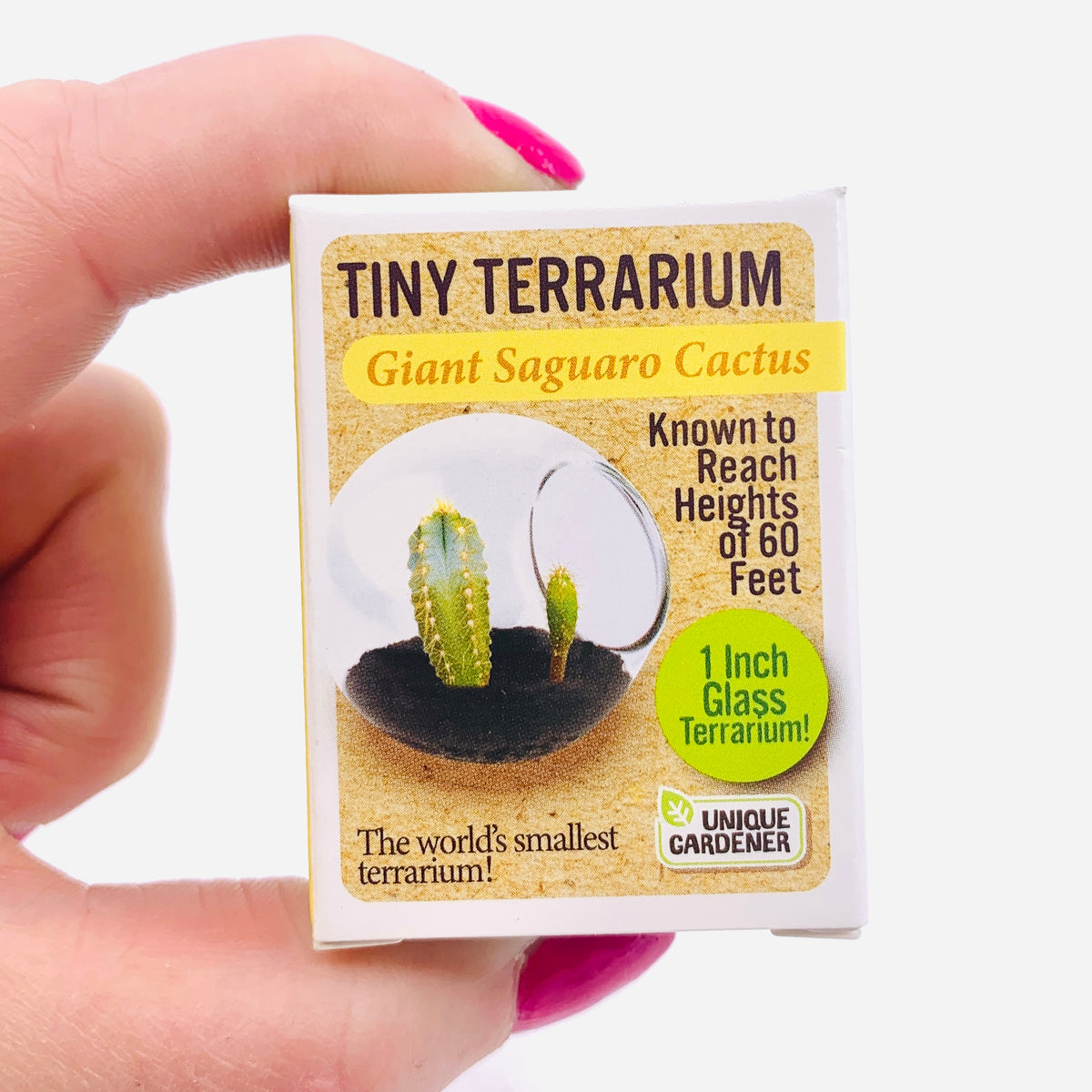 Tiny Terrarium, Giant Saguaro Cactus