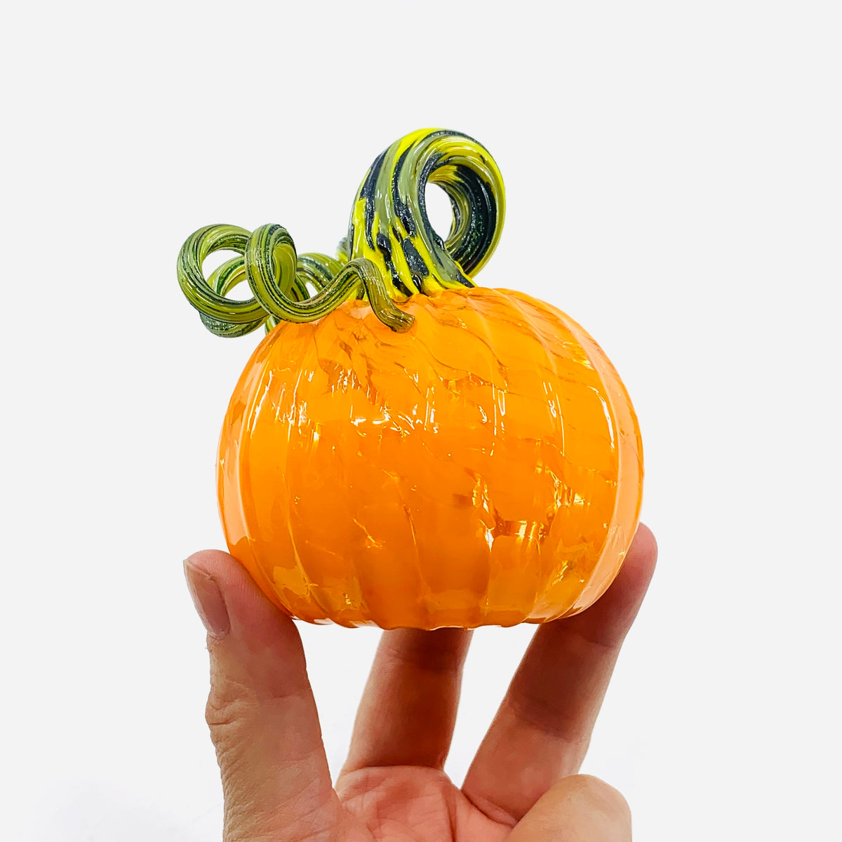 Daily Pumpkin 3528 Oops Mini