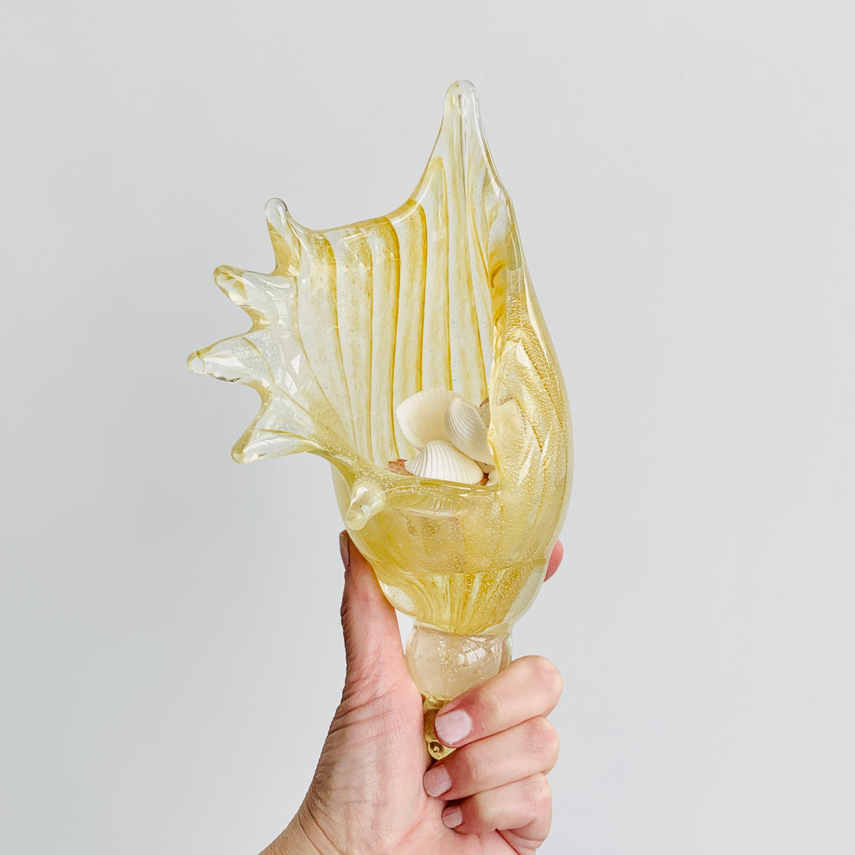 Natural Glass Conch Shell