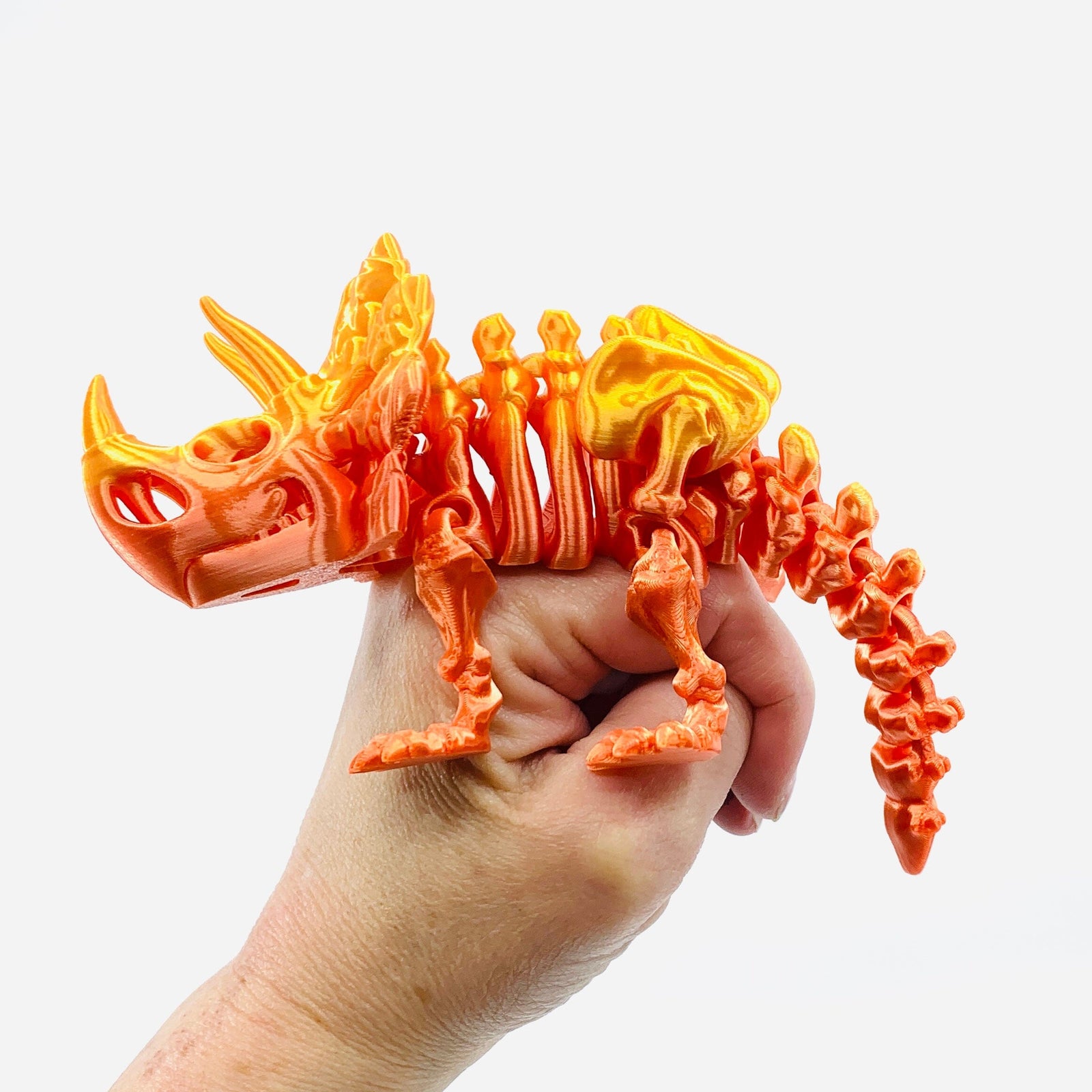 3D-Print Skeleton Triceratops - 51 LUZ CUSTOM DESIGN 