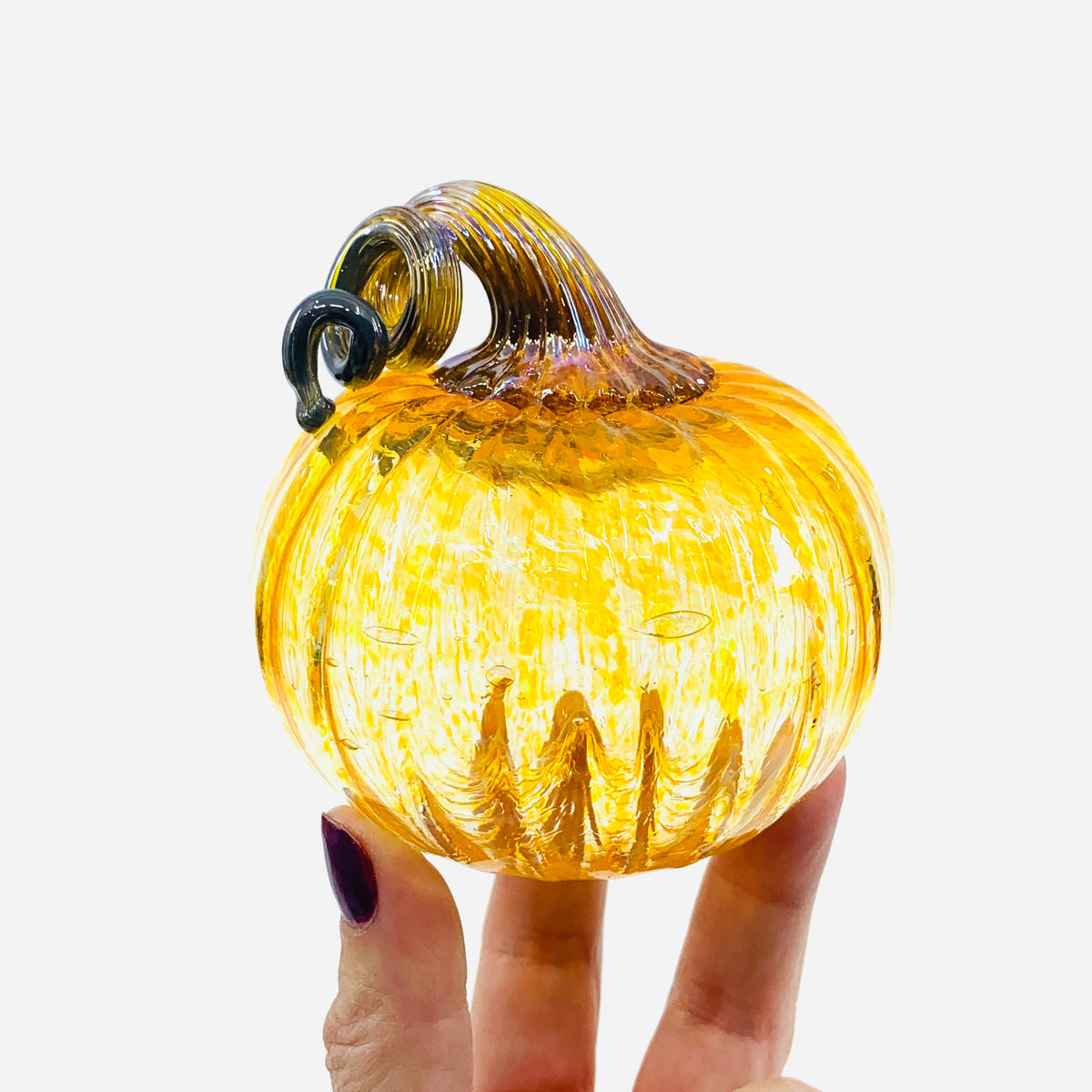 Daily Pumpkin 1008 Mini