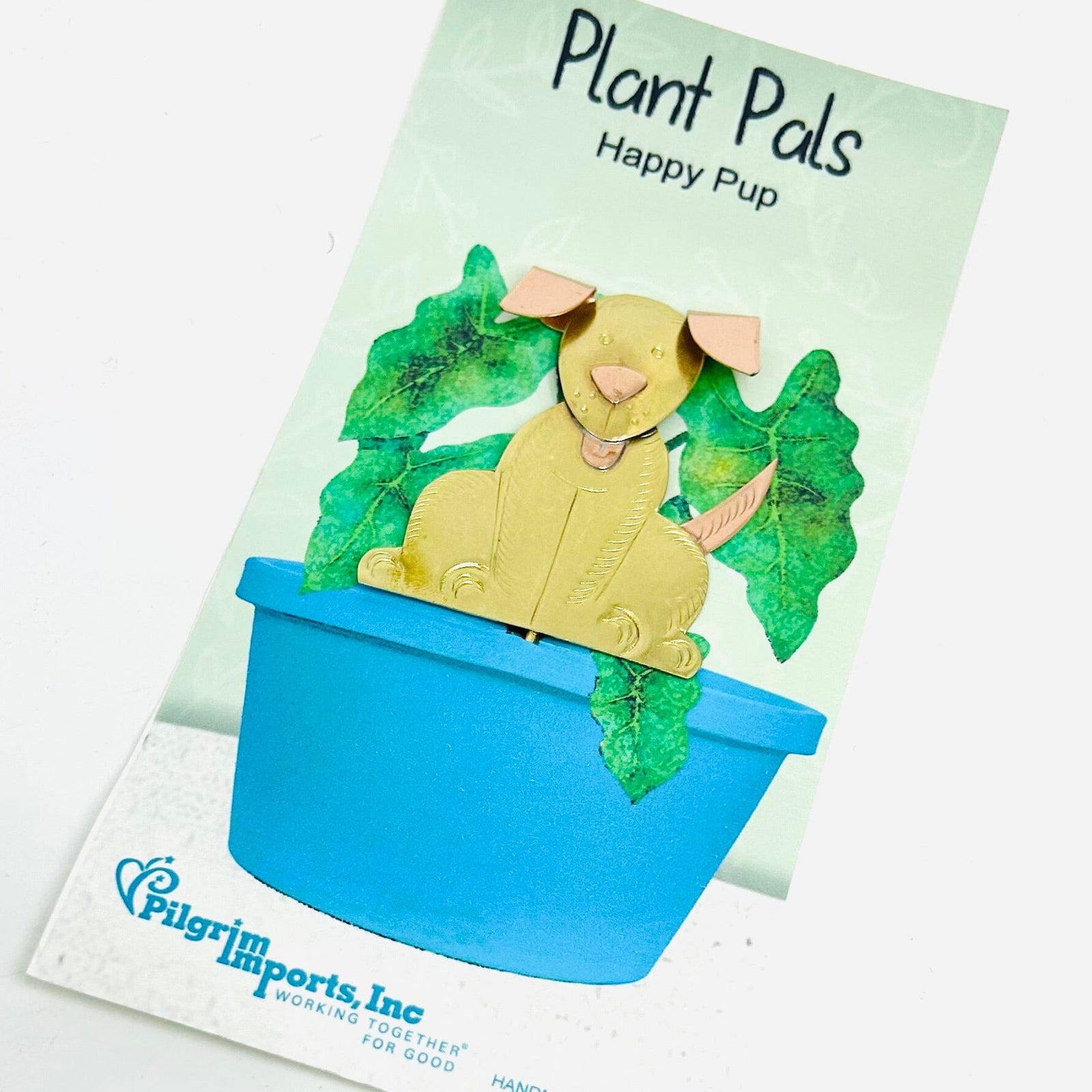 Plant Pals 28, Happy Pup Miniature Pilgrim Imports 