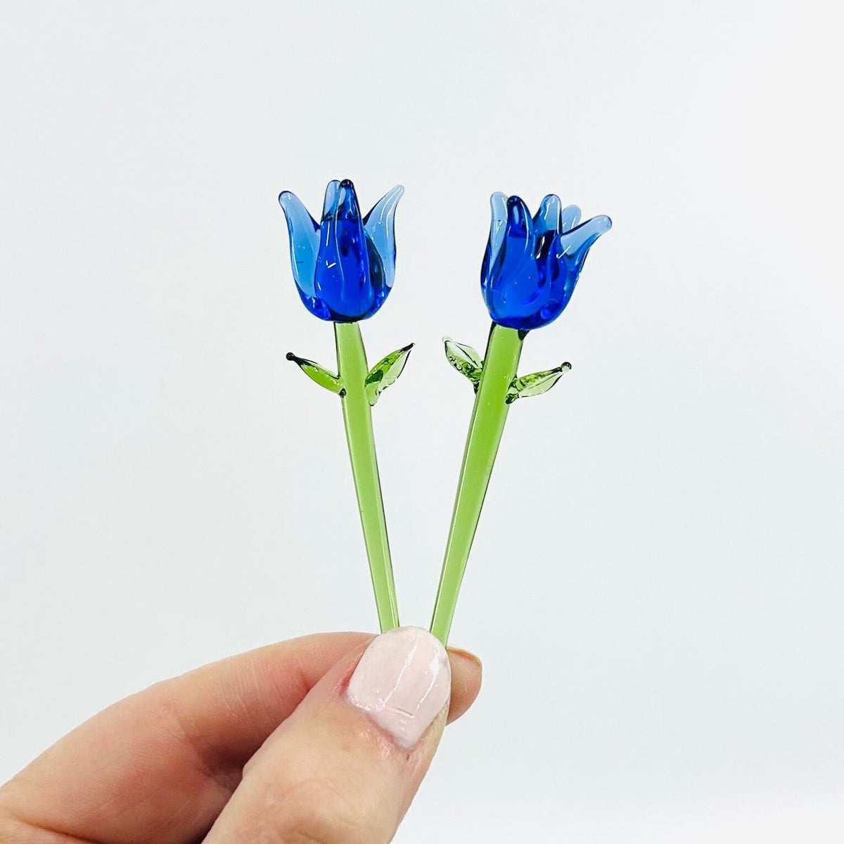 Tiny Tulips - Build Your Own Bouquet Alex Dutch Blue 
