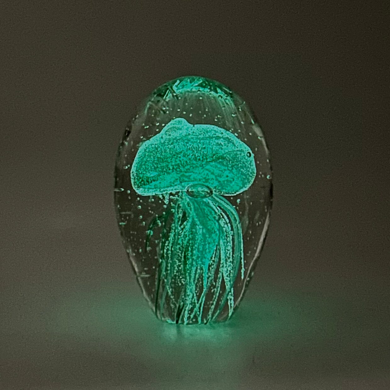 Dome Glow in The Dark Jellyfish Paperweight 1, Blue Green Decor Chesapeake Bay 