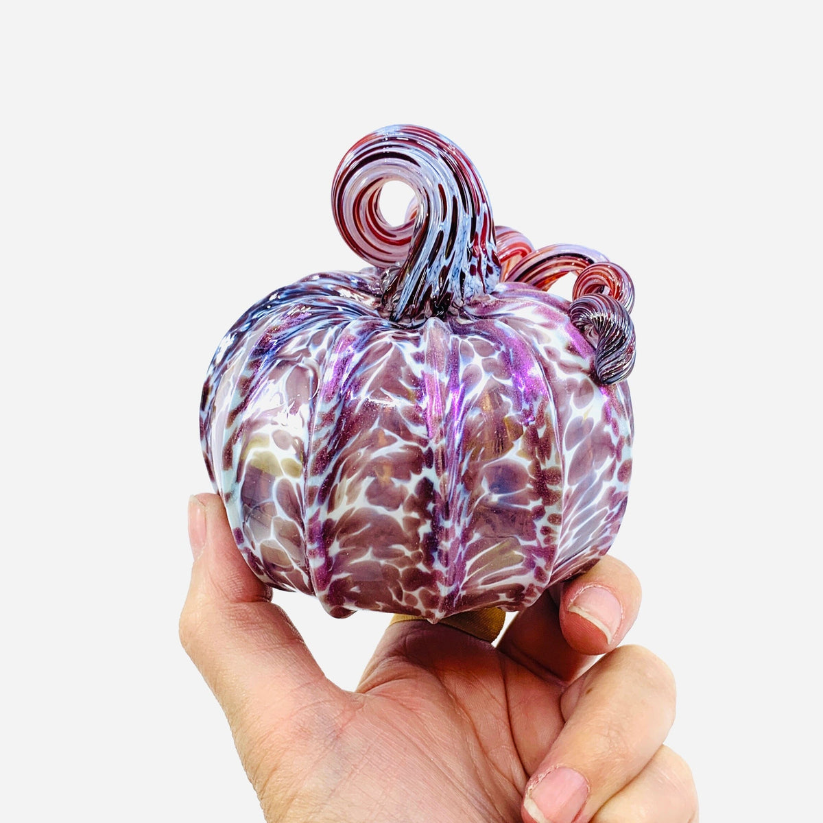 Daily Pumpkin 2428 Mini