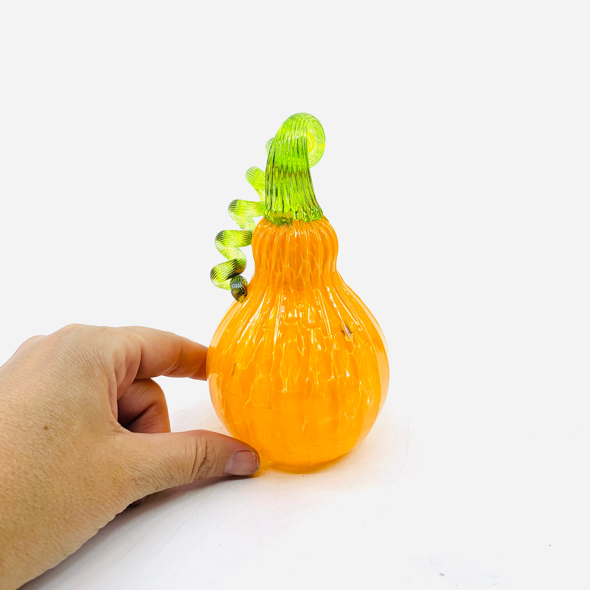 Daily Pumpkin 252 Gourd