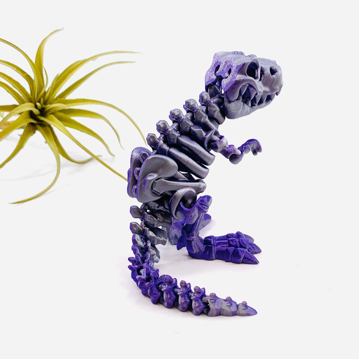3D-Print Skeleton T-Rex - Assorted Colors LUZ CUSTOM DESIGN 