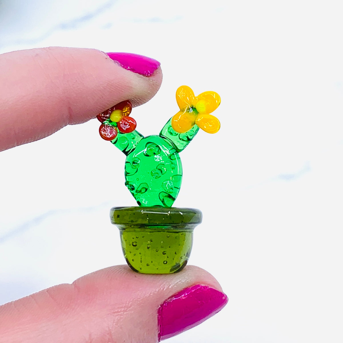 Mini Glass Cactus, Tepal