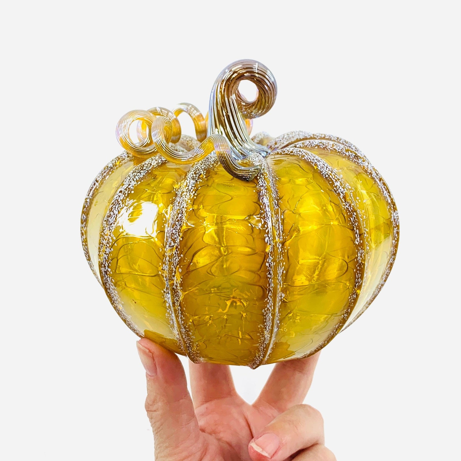Daily Pumpkin 3653 Fall Squat Gabby Luke Adams Glass Blowing Studio 