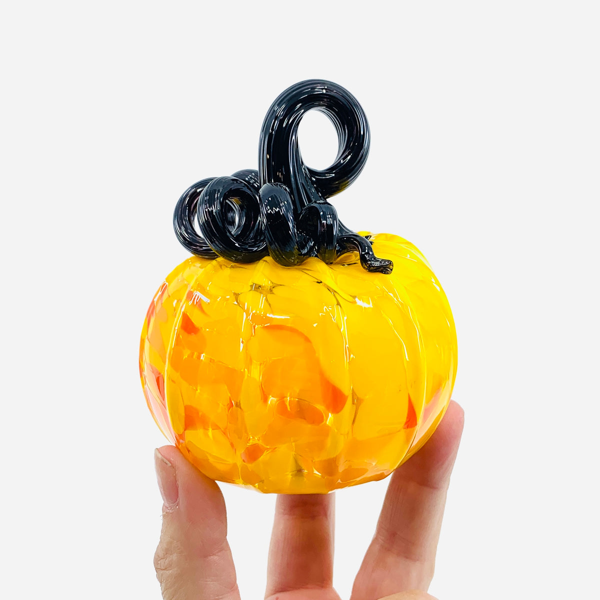 Daily Pumpkin 3604 Fall Mini