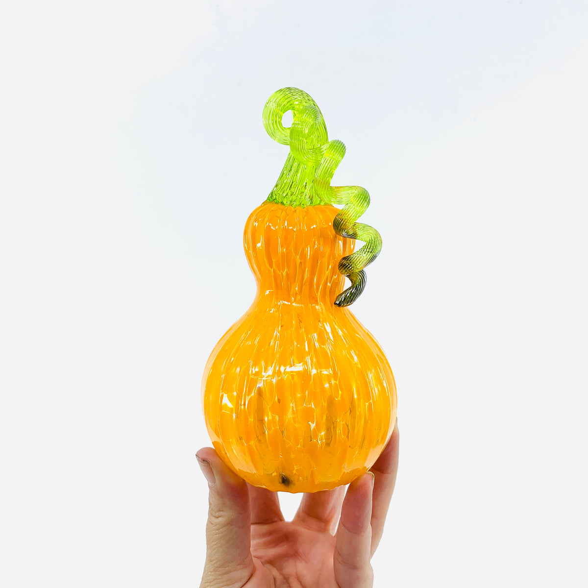 Daily Pumpkin 255 Gourd