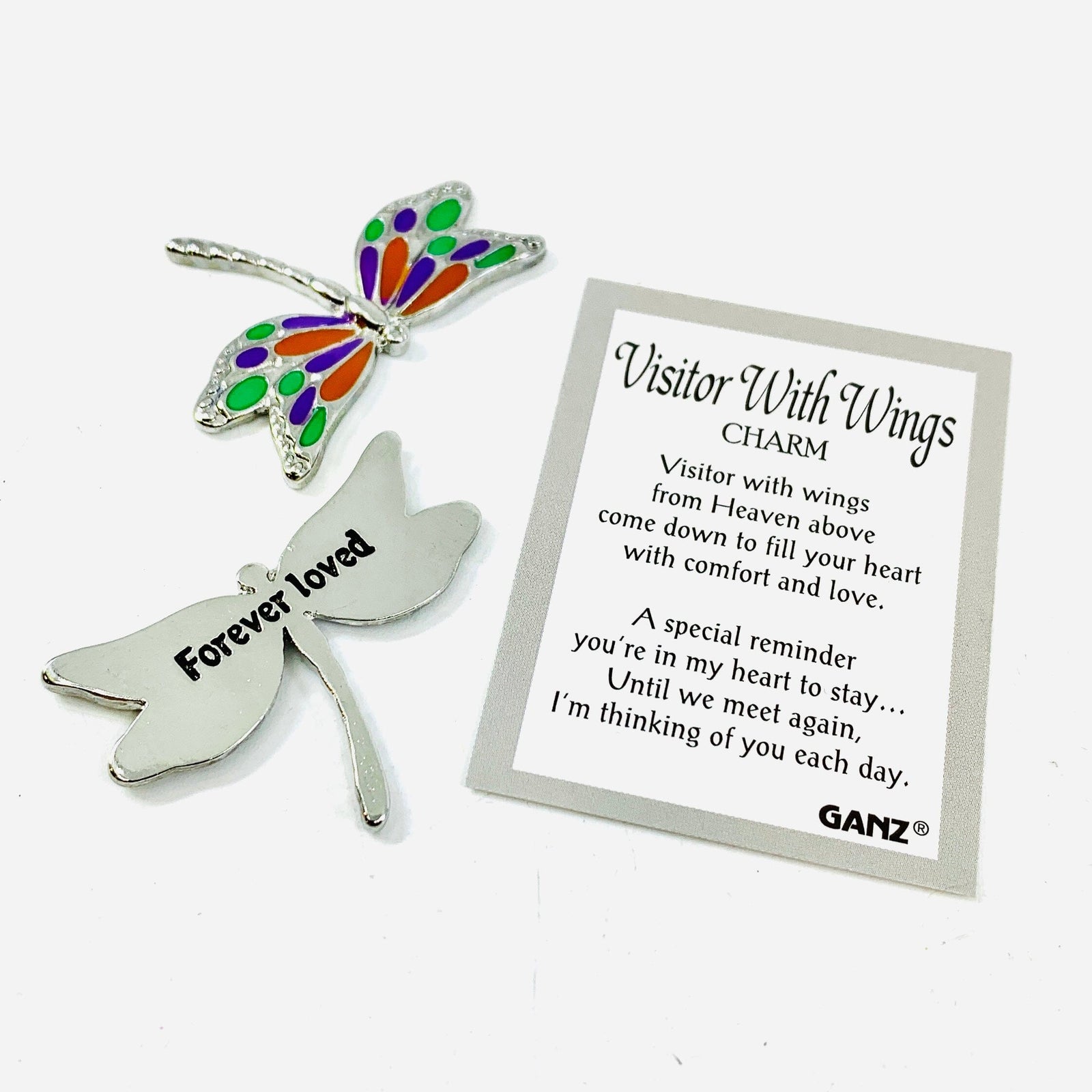 Visitor with Wings Pocket Charm PT 133 Dragonfly Miniature GANZ 