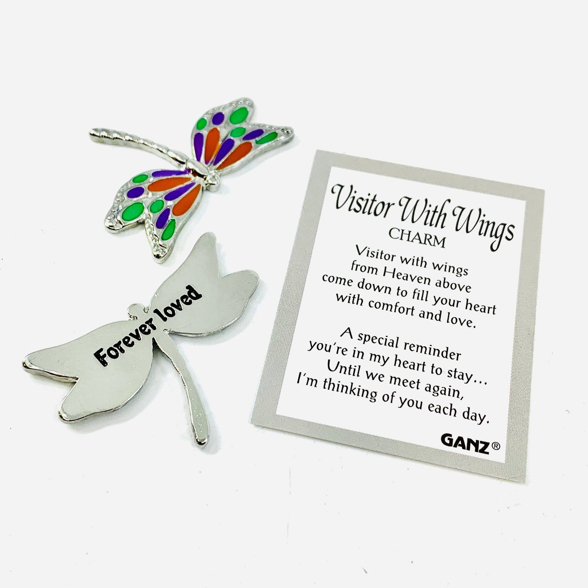 Visitor with Wings Pocket Charm PT 133 Dragonfly Miniature GANZ 
