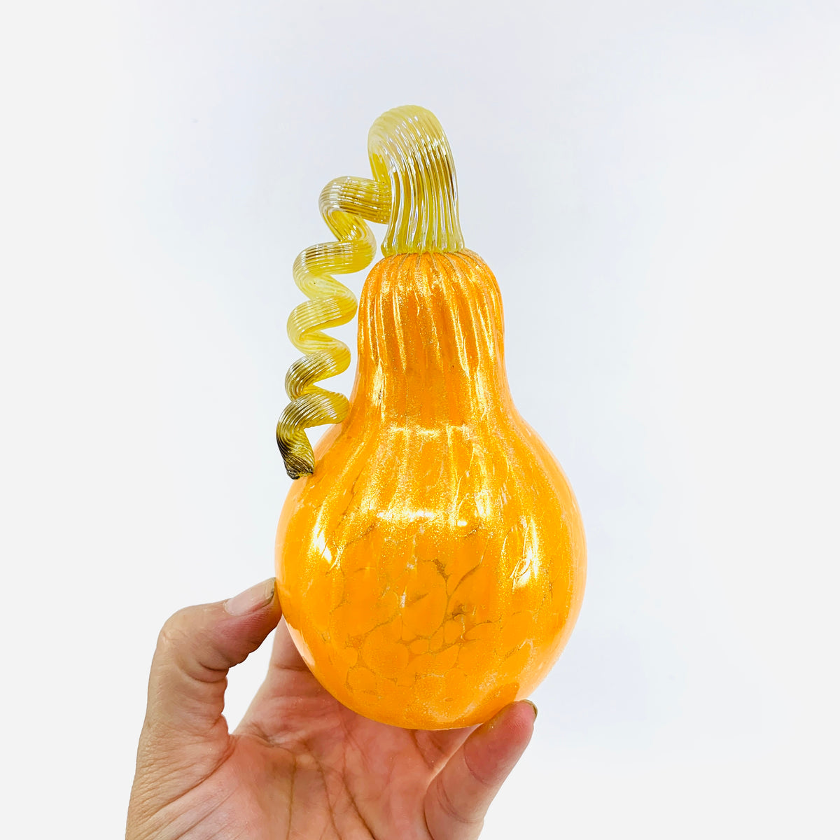 Daily Pumpkin 256 Shimmer Gourd