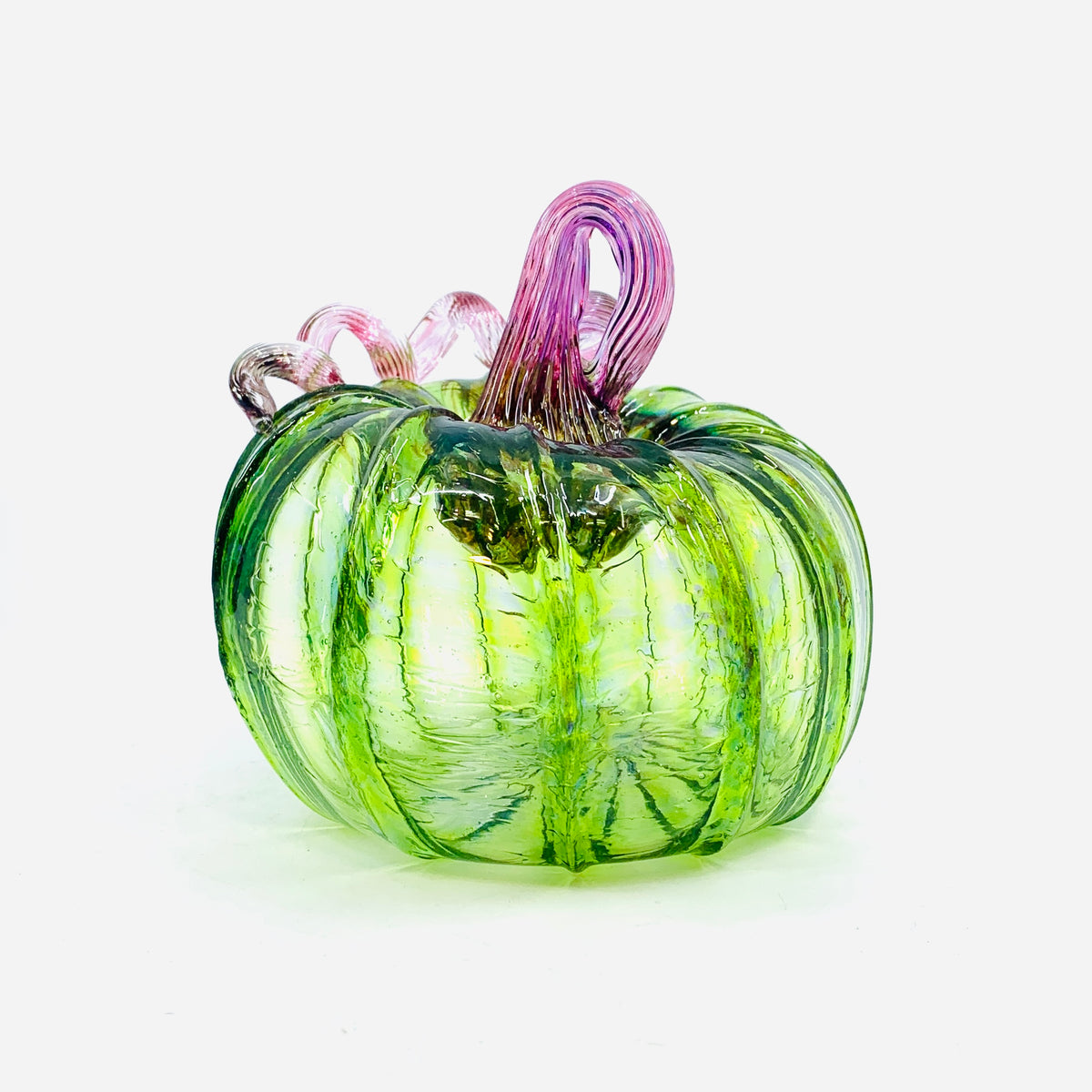 Daily Pumpkin 1333 "Oops" Squat